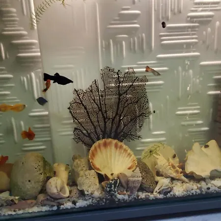 Deluxe Center House With Garden's Tent ,2 Bedrooms And Living Next To The And Sea Garden- 5 Min By Walk,with Equiped Kitchen